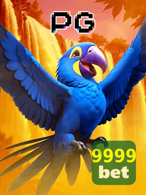 9999BET bônus — cashback 15 por cento e níveis VIP